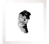 Patricia - Several Shades Of The Same Colour [VINYL]