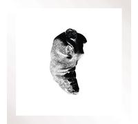 Patricia - Several Shades Of The Same Colour [VINYL]