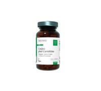 Patrick HOLFORD COQ10 Plus Carnitine / COQ10 Supplement/for Energy & Heart Health Support / 3 Nutrients/Active Ubiquinol/Enhanced Absorption - Fast Action / 60 Capsules/Vegan/for Women & Men