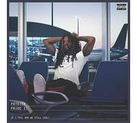 Patrick Paige II - If I Fail Are We Still Cool? [VINYL]