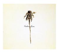 Patrick Watson - Wooden Arms - CD - Digipak