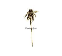 Patrick Watson - Wooden Arms [VINYL]