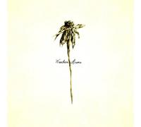 Patrick Watson Wooden Arms (Vinyl) Deluxe 12" Album (Gatefold Cover)