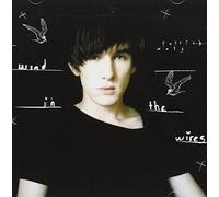Patrick Wolf - Wind In The Wires