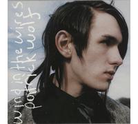 Patrick Wolf Wind In The Wires German 7" vinyl single record TOM48S Tomlab 2005