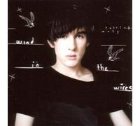 Patrick Wolf - Wind In The Wires [VINYL]