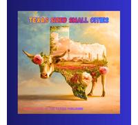 Patrick's Texas Sized Little Cities