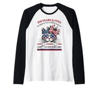 Patriotic Cat 250 Years Independent America 1776 2026 Raglan Baseball Tee