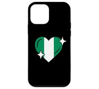 Patriotic Nigeria Cute Heart Nigerian Flag Kids Boys Case for iPhone 12 mini