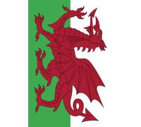 Patriotic Notes: A Notebook with Wales Flag: 120-Page College-Ruled Journal for Daily Writing, Reflection, and Planning