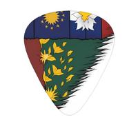 Patriotic Pattern Printed pick set - 12 pieces, thin, medium and thick guitar picks, suitable for guitar, bass, electric guitar and ukulele