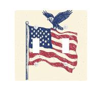 Patriotic Vintage Eagle Decorative Light Switch Cover Plate 2 Gang Double Toggle, Fun American Flag Hawks Electrical Faceplate for Kitchen Bathroom, Falcons Switchcover Decor