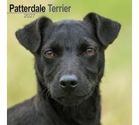 Patterdale Terrier 2027 Calendar | Square Wall Calendar | Dog Breed Gift | Plastic Free Packaging | by Avonside Publishing