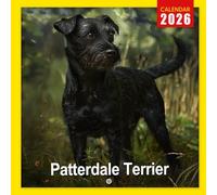 Patterdale Terrier Calendar 2026: A Year of Feisty and Loyal Patterdale Terriers | Kalender Calendario Calendrier