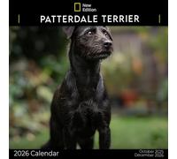Patterdale Terrier Calendar 2026: A Year of Feisty and Loyal Patterdale Terriers | Kalender Calendario Calendrier