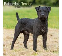 Patterdale Terrier 2026 Calendar | Square Wall Calendar | Dog Breed Gift | Plastic Free Packaging | by Avonside Publishing