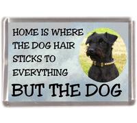 Patterdale Terrier Fridge Magnet "Home is Where The Dog Hair Sticks to Everything BUT The Dog"