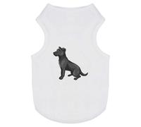 'Patterdale Terrier' Pet Dog/Cat T-Shirt (PT00091178)