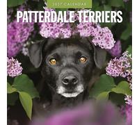 Patterdale Terriers - 2027 Square Wall Calendar - by Red Robin Publishing