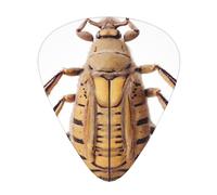 Pattern insects Printed pick set - 12 pieces, thin, medium and thick guitar picks, suitable for guitar, bass, electric guitar and ukulele