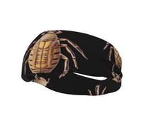 Pattern Insects Yoga Sports Fitness Headband, Unisex Running Basketball Elastic Headband, Sports Sweat-Absorbing Band,