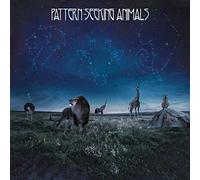 Pattern-Seeking Animals