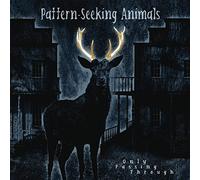 Pattern-Seeking Animals - Only Passing Through-PATTERN-SEEKING ANIMALS