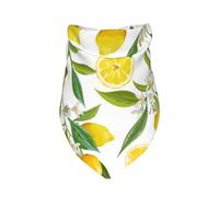 Patterned Exotic Lemon Tree Branches Yummy Delicious,Bib Scarf Triangle Hood Adjustable Pet Scarf Washable Hood Suitable for Small, Medium and Large Dogs and Cats