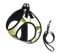 Patterned Exotic Lemon Tree Branches Yummy Delicious,Pet Harness,Adjustable Reflective Dog Harness,Pet Leash Vest,M