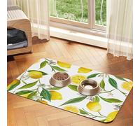 Patterned Exotic Lemon Tree Branches Yummy Delicious,Waterproof Pet Feeding Mat,PU Leather Placemats for Cat Dog Water Bowl,Food Mats,40x60cm