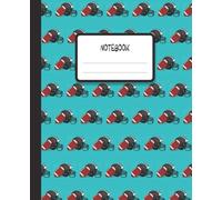 Patterned Notebook For School and Work With American Football Theme: Cool Wide Ruled Lined Journal for College with Glossy Cover and 7.5 x 9.25 inches size, Ideal To Take Classroom Notes