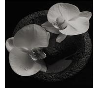 Mike Patton & Jean-Claude Vannier - Corpse Flower