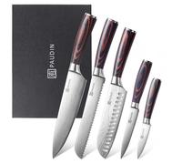 PAUDIN Kitchen Knife Set, High Carbon Stainless Steel Kitchen Knives, 5 Piece Chef Knives Sets with Ergonomic Handle, Japanese Knife Set,Cooking