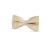 Paul Andrew Boys Paisley Floral Satin Bow Tie - Cream