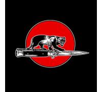 Paul Collins - Stand Back and Take a Good Look