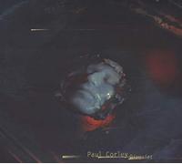 Paul Corley - Disquiet