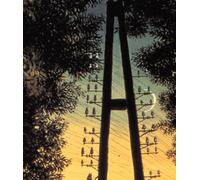 Paul Delvaux: The Sleepwalker of Saint Idesbald [VHS]