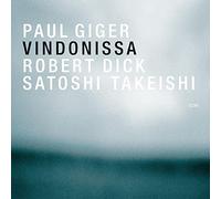 Paul Giger - Vindonissa