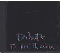 Paul Gilbert - Hendrix Tribute