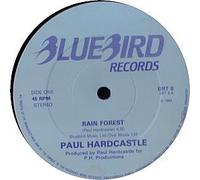 PAUL HARDCASTLE - rain forest / sound chaser 12