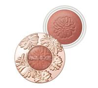 PAUL & JOE Shimmering Eye Color, 8g (07 Maple French)