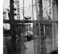 Paul McCartney - Chaos And Creation In The Backyard