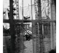 Paul McCartney - Chaos And Creation In The Backyard