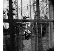 Paul McCartney - Chaos And Creation In The Backyard - New CD - 16 - Y99z