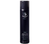 Paul Mitchell Awapuhi Wild Ginger Finishing Spray hairspray with strong fixation 300 ml