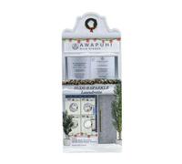 Paul Mitchell Awapuhi Wild Ginger Hydrate & Gloss Gift Set