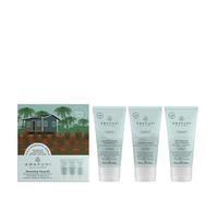 Paul Mitchell - Gifts & Sets Awapuhi Wild Ginger Nourishing Travel Kit for Women, sulphate-free