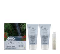 Paul Mitchell Awapuhi Wild Ginger Moisturising Travel Kit