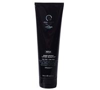 Paul Mitchell Awapuhi Wild Ginger Moisturizing Lather Shampoo moisturizing shampoo 250 ml