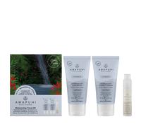 Paul Mitchell Awapuhi Wild Ginger Moisturizing Travel Kit